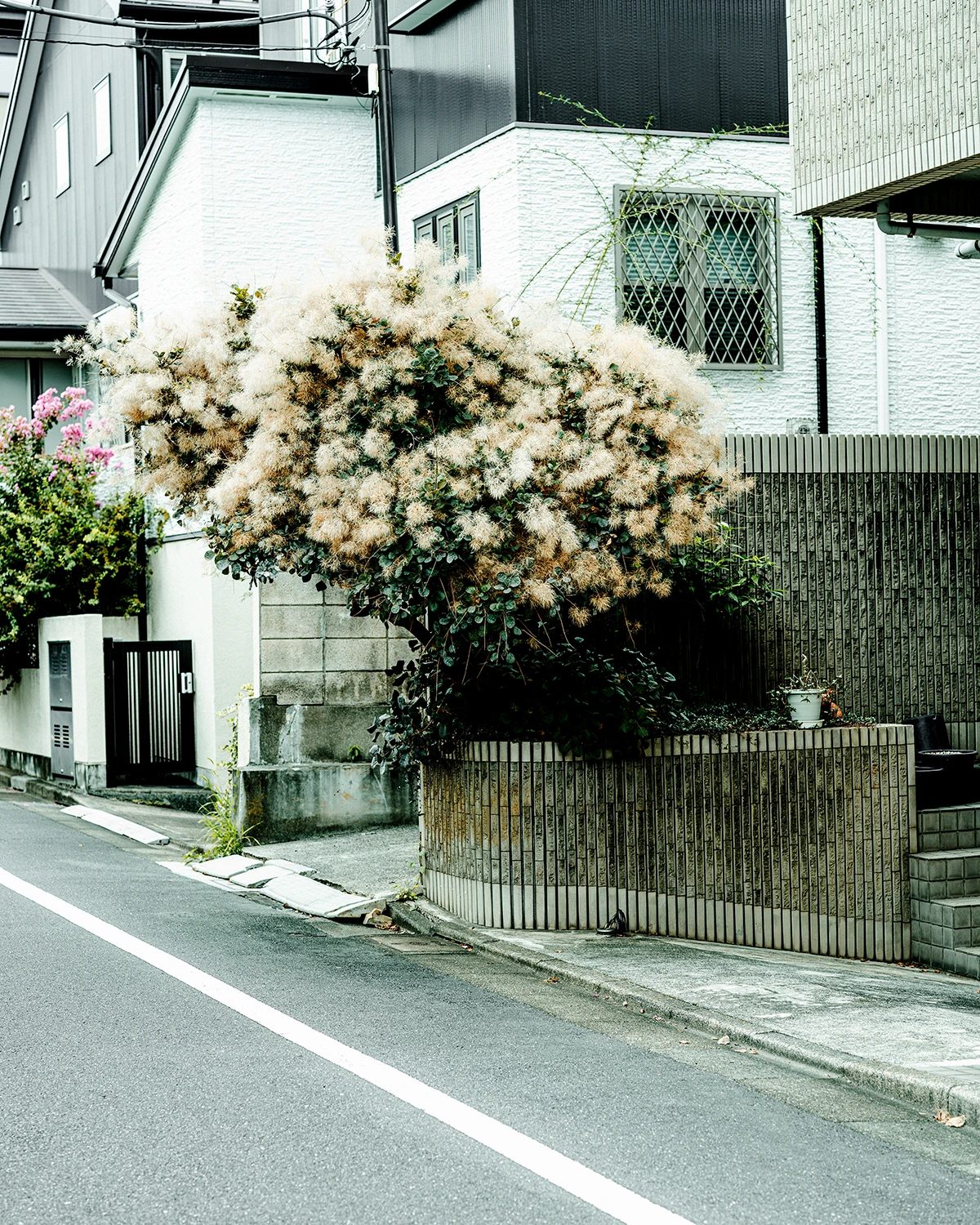 Photography Ramona Deckers fashion shooting in Tokyo, japanese architecture