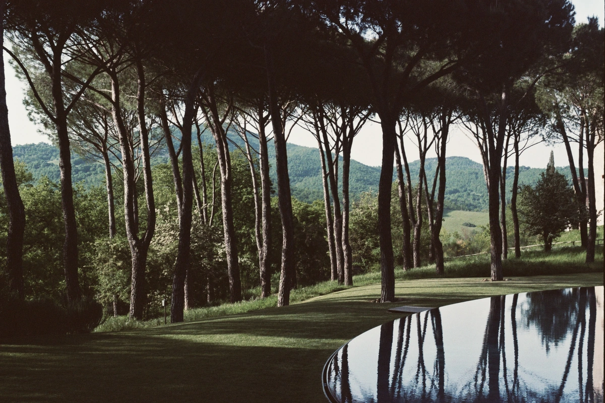 Reschio - the pool and the pine trees