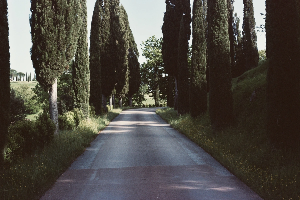 Reschio, the road to the Castle