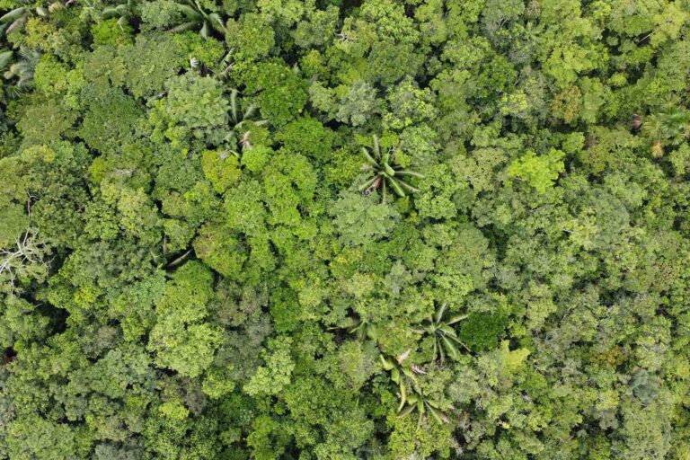 SAN JUAN BAUTISTA PERU