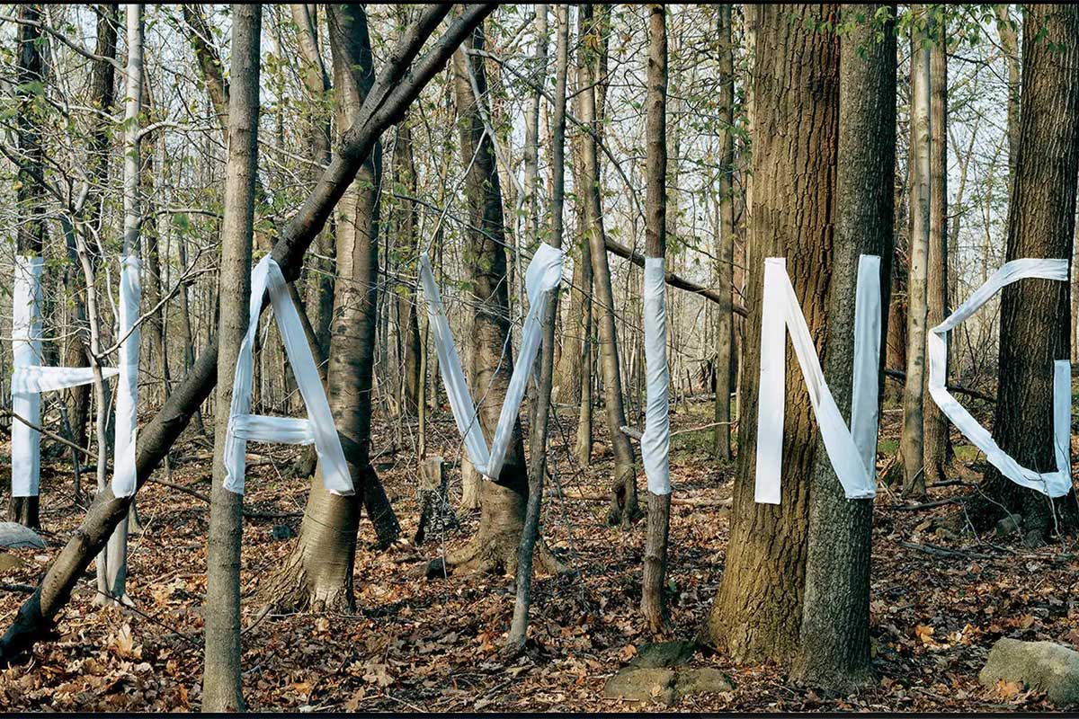 Writing trough the trees, design Stefan Sagmeister, Matthias Ernstberger, Miao Wang & Bela Borsodi, Lampoon
