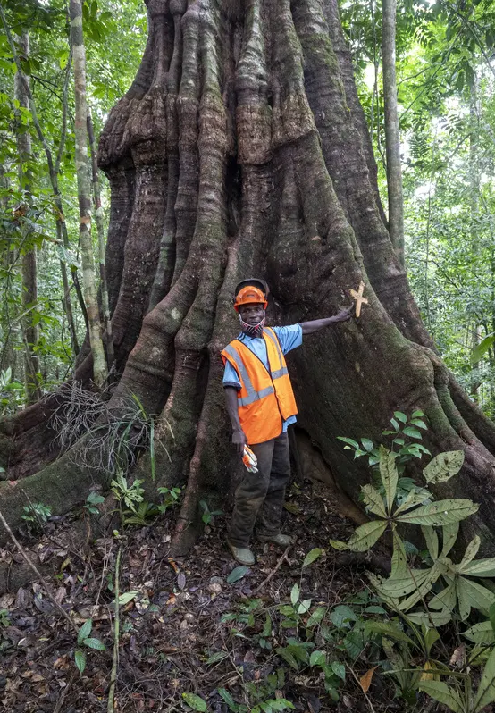 Sven Torfinn Mayumba