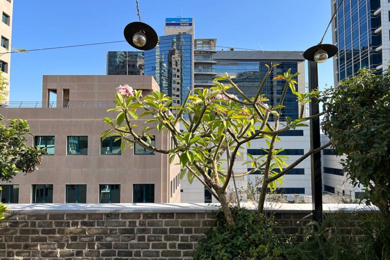 Terrace the Vera Hotel|Terrace the Vera Hotel