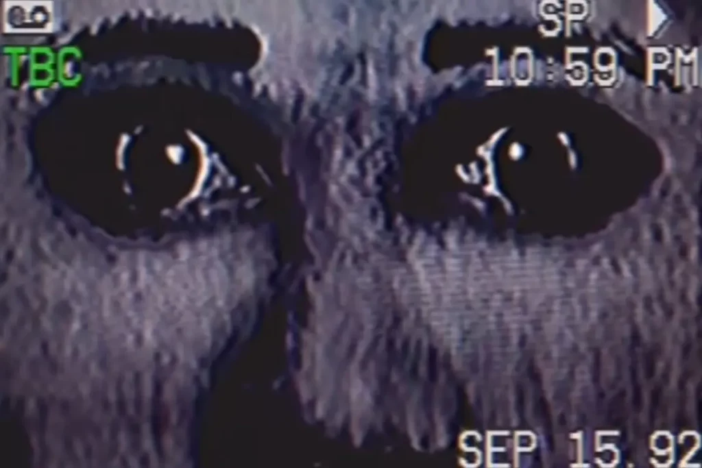 |The Mandela Catalogue Vol. 1. Analog horror su YouTube. Di Alex Kister