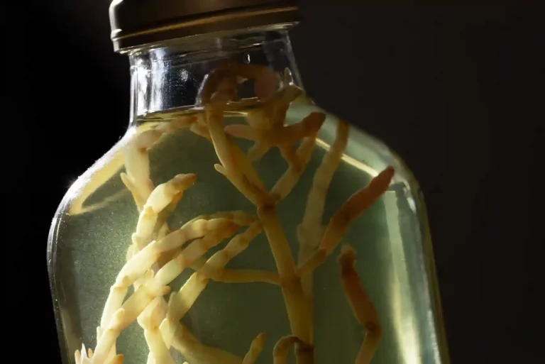 Immagine: The Tidal Garden|The Tidal Garden