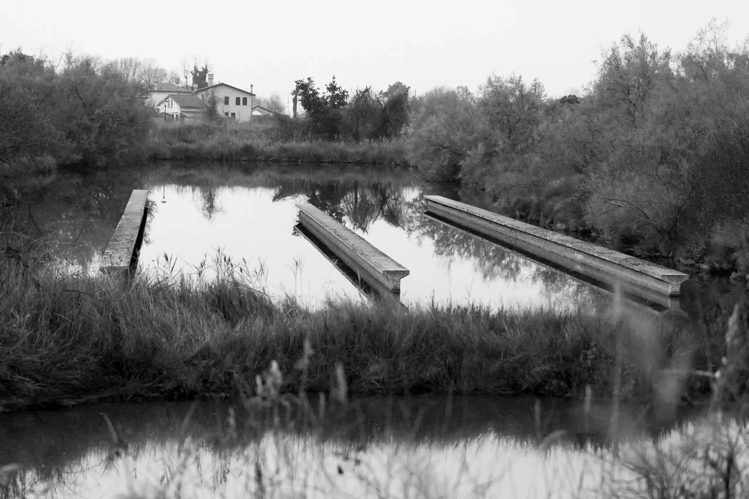 The Tidal Garden
