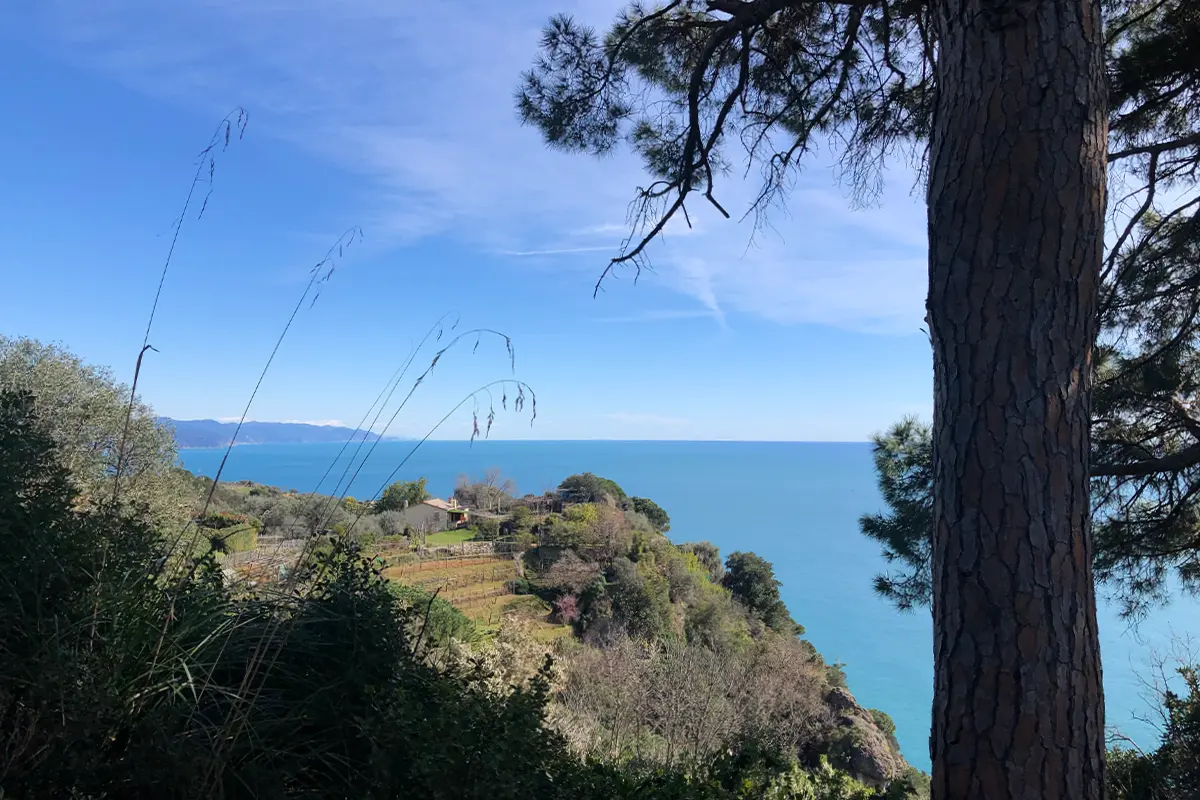 The bay of Portofino