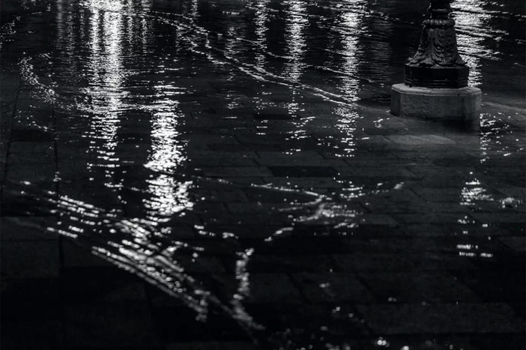 Tiziano Scarpa, Catalogo delle onde, Wetlands, 2024 – ph. Anna Zemella