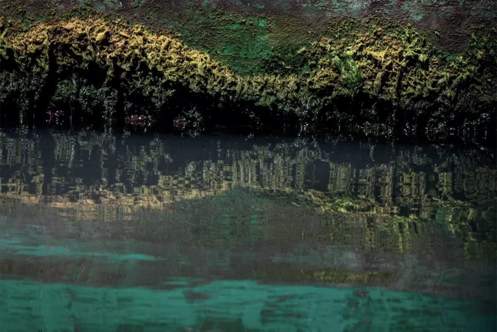 Tiziano Scarpa, Catalogo delle onde, Wetlands, 2024 – foto di Anna Zemella