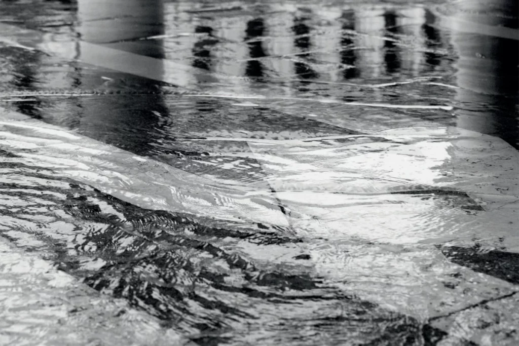 Tiziano Scarpa, Catalogo delle onde, Wetlands, 2024 – foto di Anna Zemella