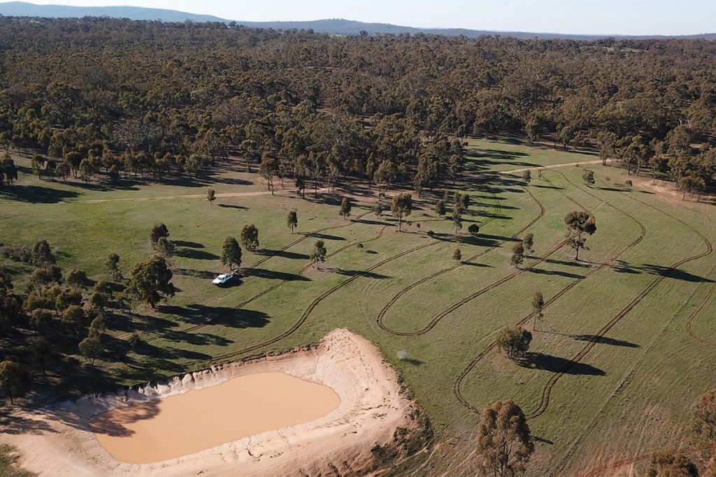 Lampoon, Land Life Company in Victoria, Australia