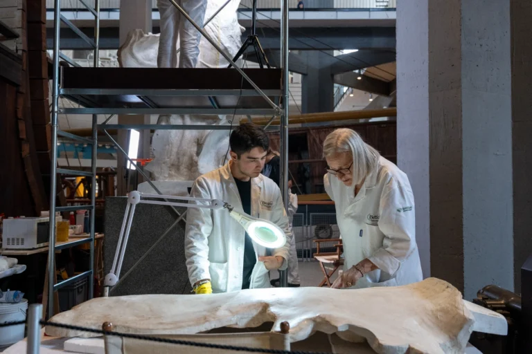 Valore Italia Lampoon COVER||||La Scuola di Botticino a Milano collabora con l’Ospedale Galeazzi|||Scuola di Botticino|