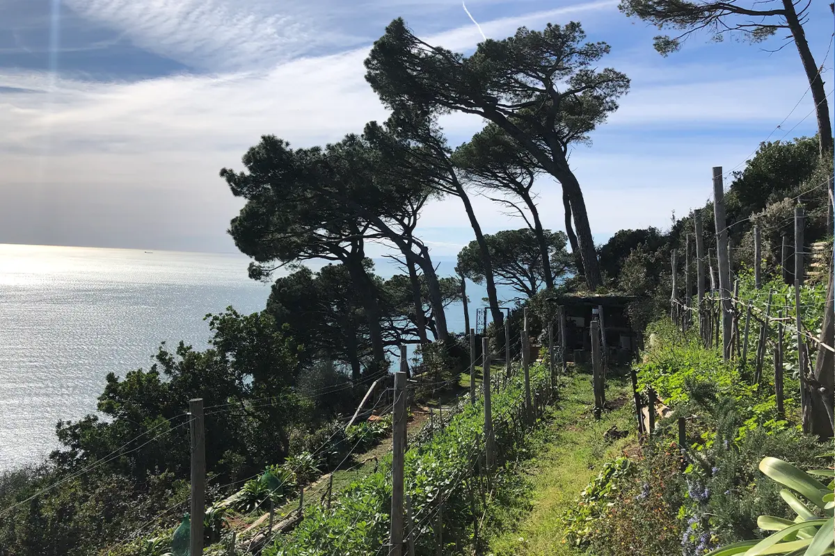 View from the La Portofinese Eco-Farm