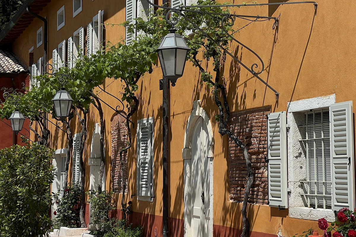 Villa façade with vines and lanterns