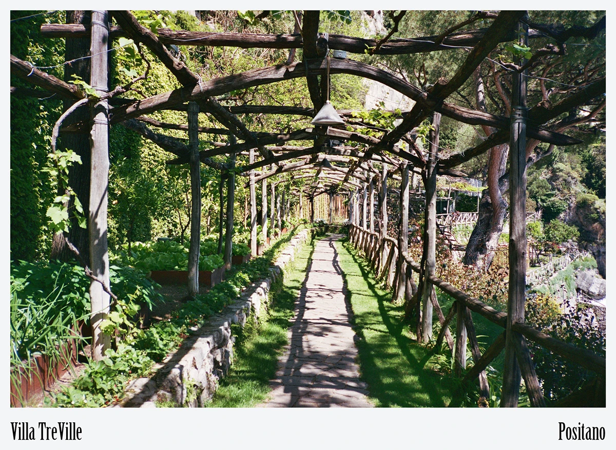 Vine-clad pergola built with local timber guides guests through gardens that stitch the estate to the cliffside terrain