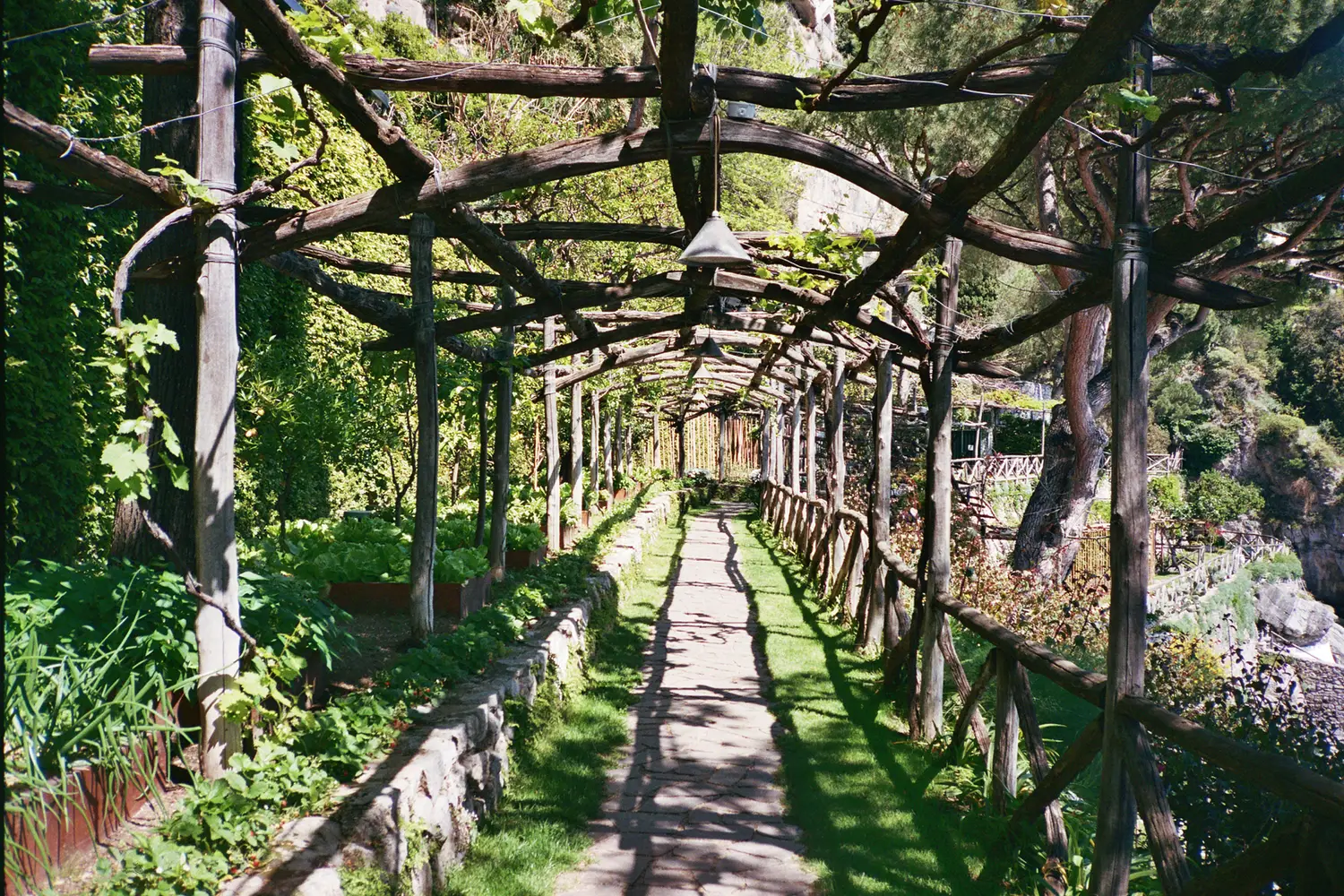 Vine-clad pergola built with local timber guides guests through gardens that stitch the estate to the cliffside terrain