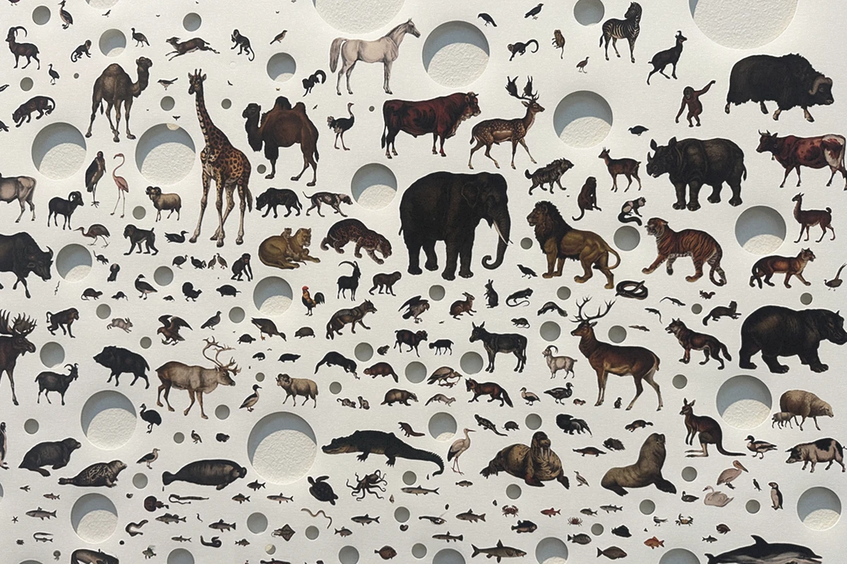 Why Look at Animals – A Case for the Rights of Non-Human Lives Athes EMST