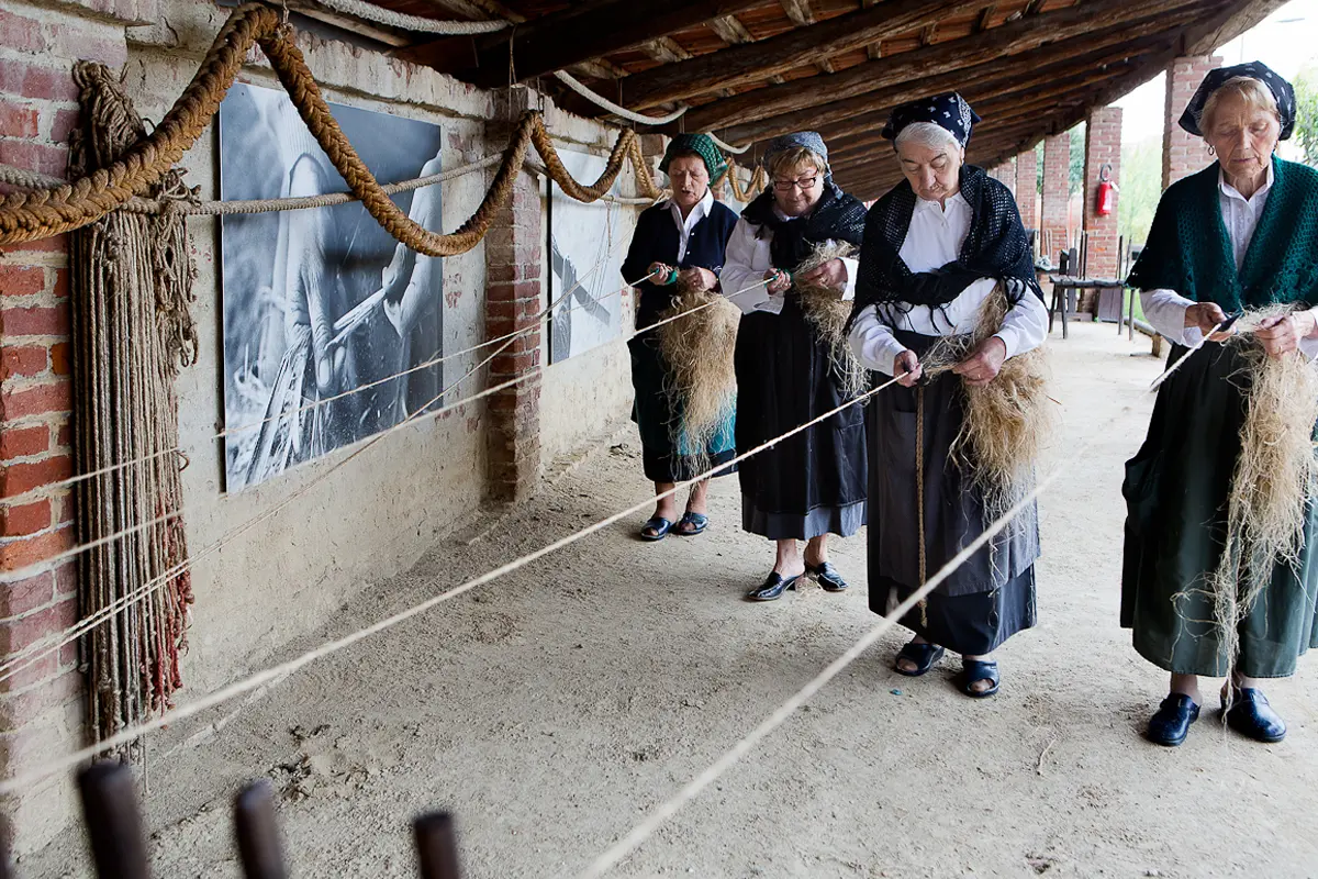 Women working hemp yards