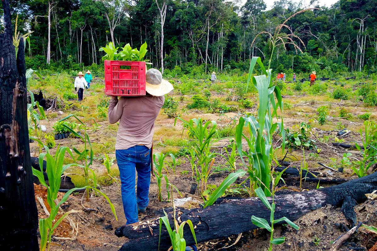 A collaborative approach with local project leaders, on human scale projects