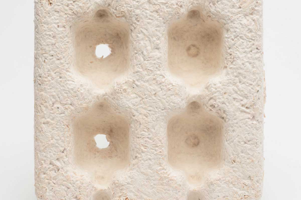 Lampoon, Mushroom® Seed Starters Packaging