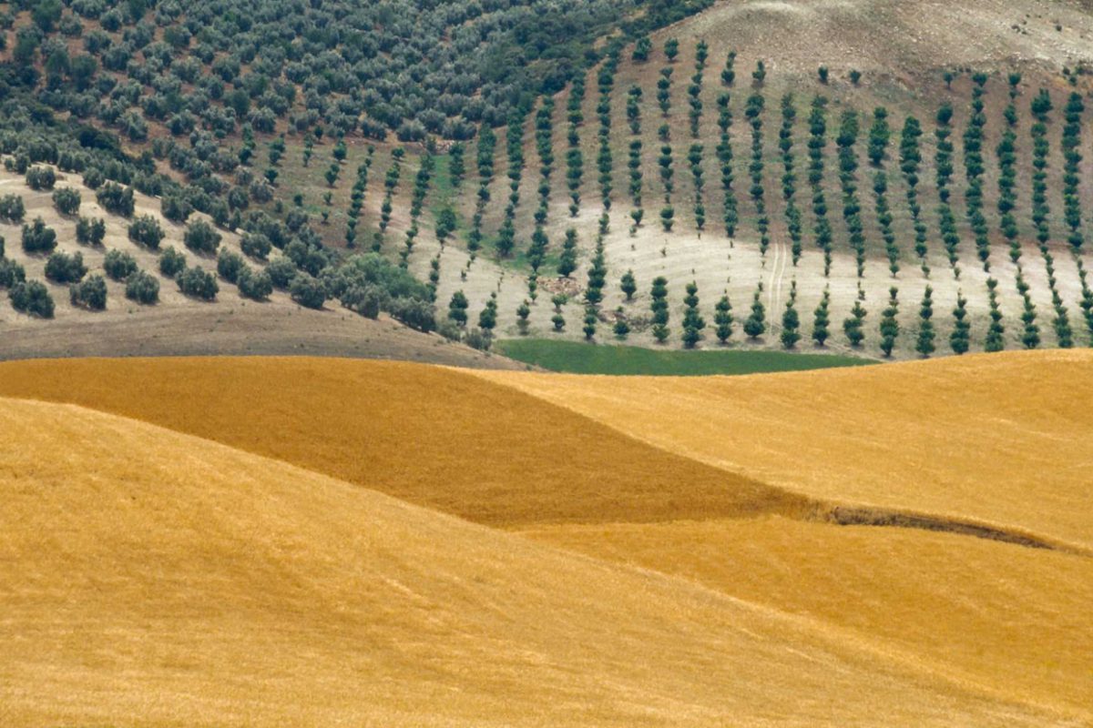 Farming Australia