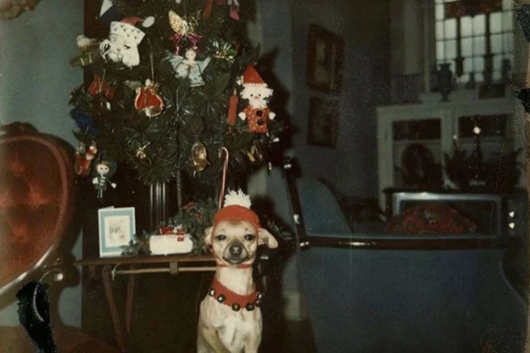 from the 50 Photos Of Christmas Home Decor In The 1950s And 1960s|Soviet Ded Moroz_ 23 Funny Photos of Slavic Santa Clauses in the USSR From the 1980s|Michelle Pfeiffer in Grease 2