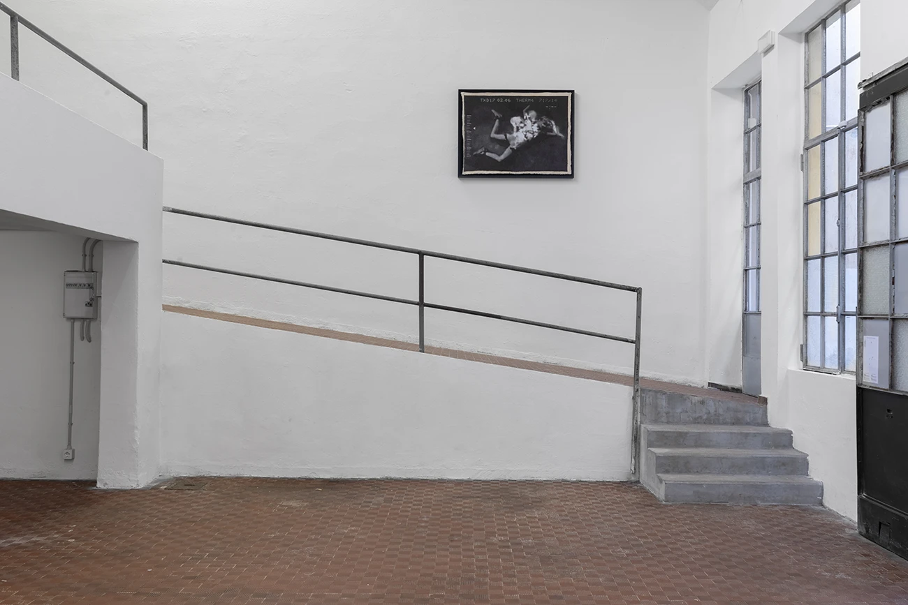 LGUDGN71R23D341C, curated by Roberto Cuoghi, Ordet, 2025. Courtesy Luigi D’Eugenio and Ordet, Milan. Photo Nicola Gnesi
