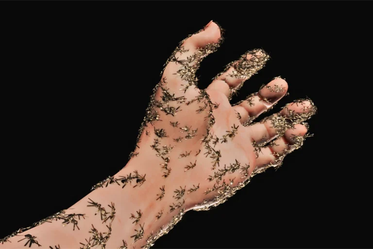 Eyes Melted Gold by Derek Tumala