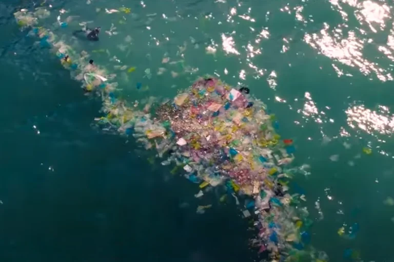 From the video Stories of Becoming