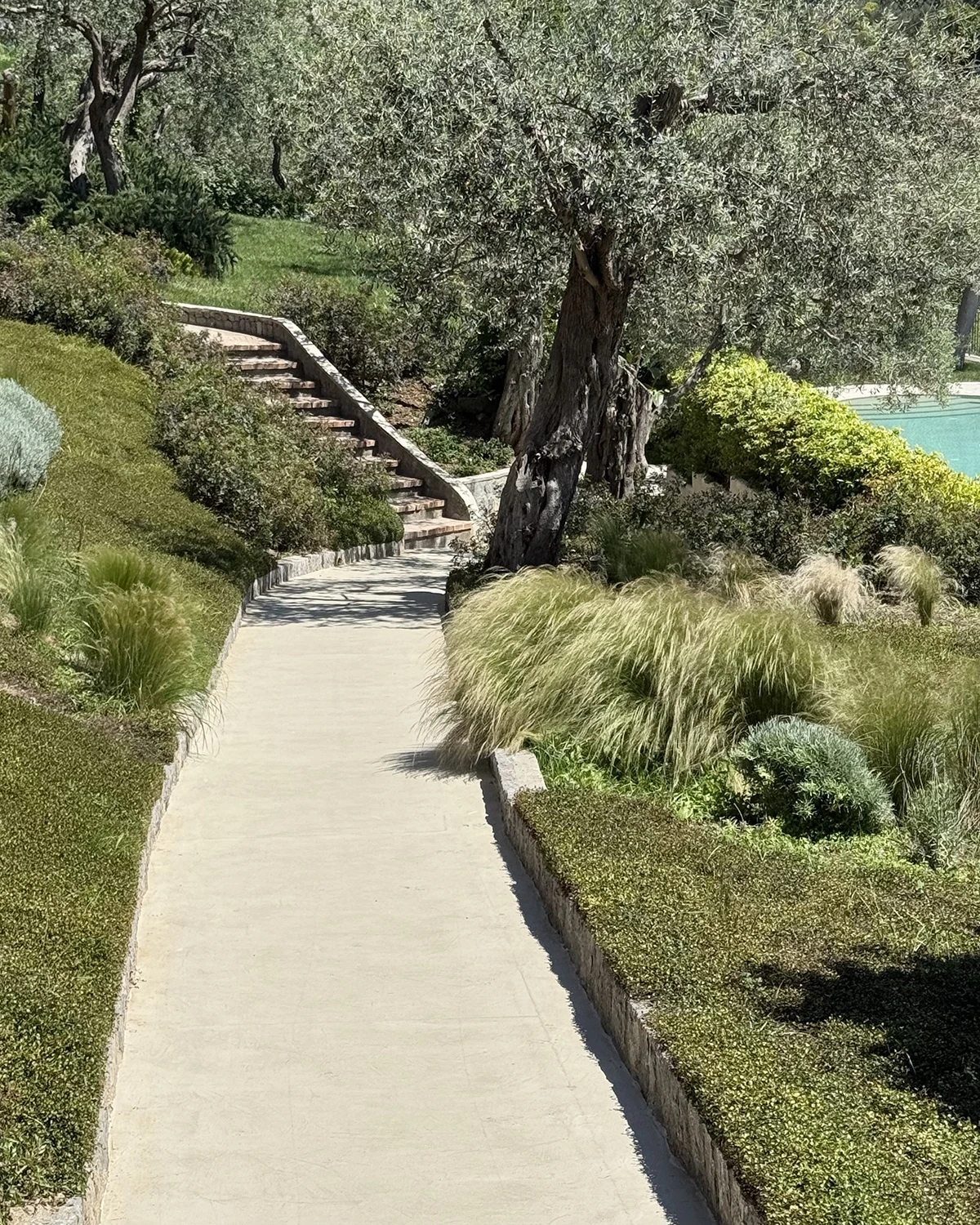 Furore Grand Hotel, stone pathway winding through olives and grasses