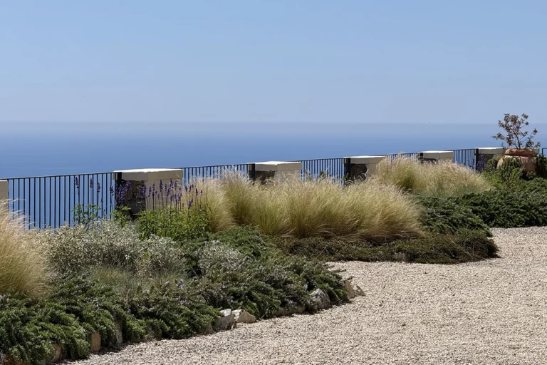 Furore Grand Hotel, wild grasses framing a terrace and boundless sea