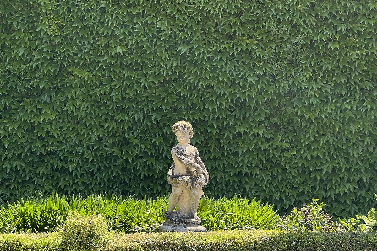 Garden statue against ivy wall