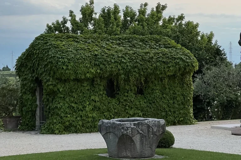 Ivy-covered turret at sunset
