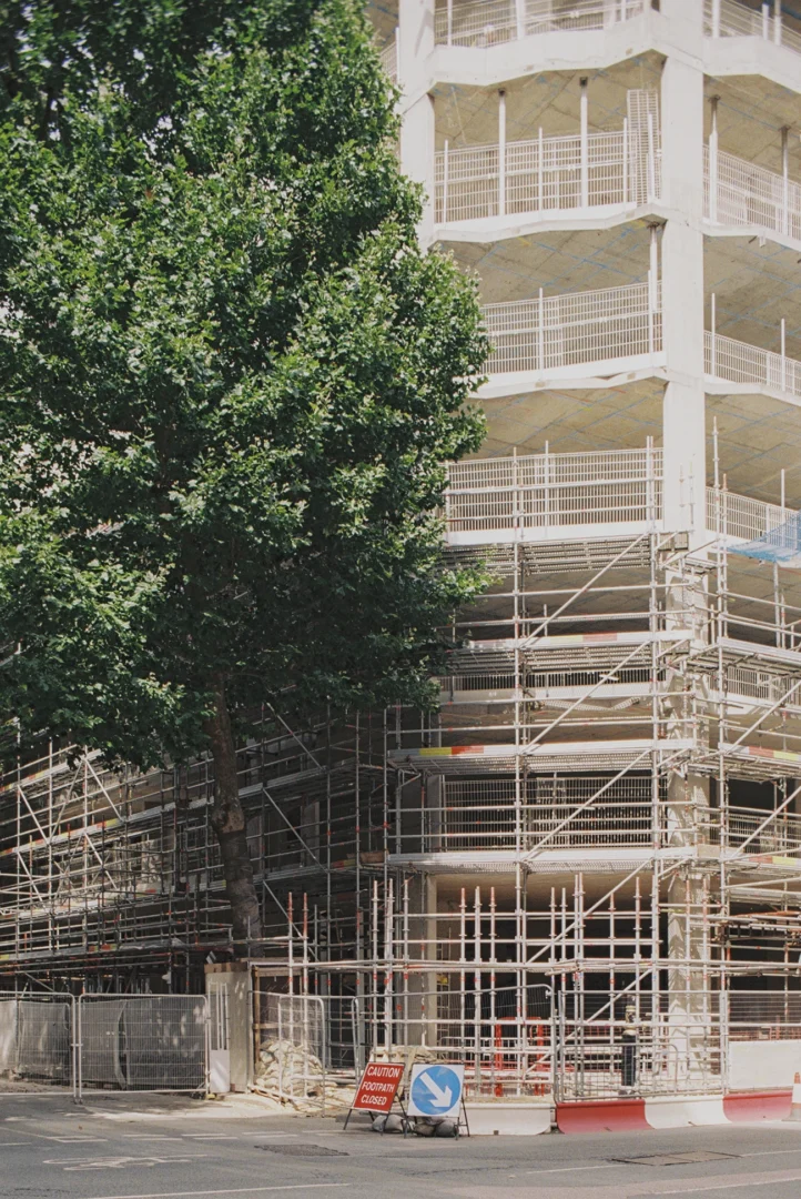 Lorenzo Zandri, Urban Forestry, massive tree along a construction site near the near Millbank, Westminster, London 2020