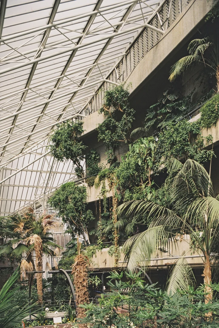 Lorenzo Zandri, Urban Forestry, renowned green house, The Conservatory, inside the Barbican Centre, London 2020