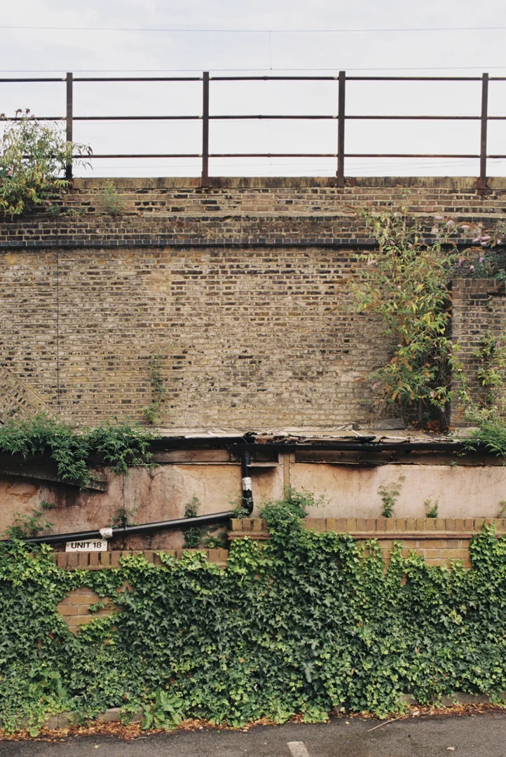 Lorenzo Zandri, Urban Forestry, spontaneous greenery along the overground station in London Fields, Hackney, London 2020