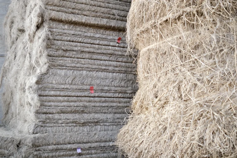 Lino Albini terre de Lin 1