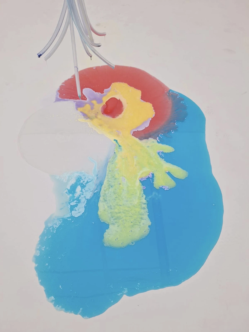 Detergancy, 2020, Sarah Ancelle Schönfeld at Kunsthalle Mainz