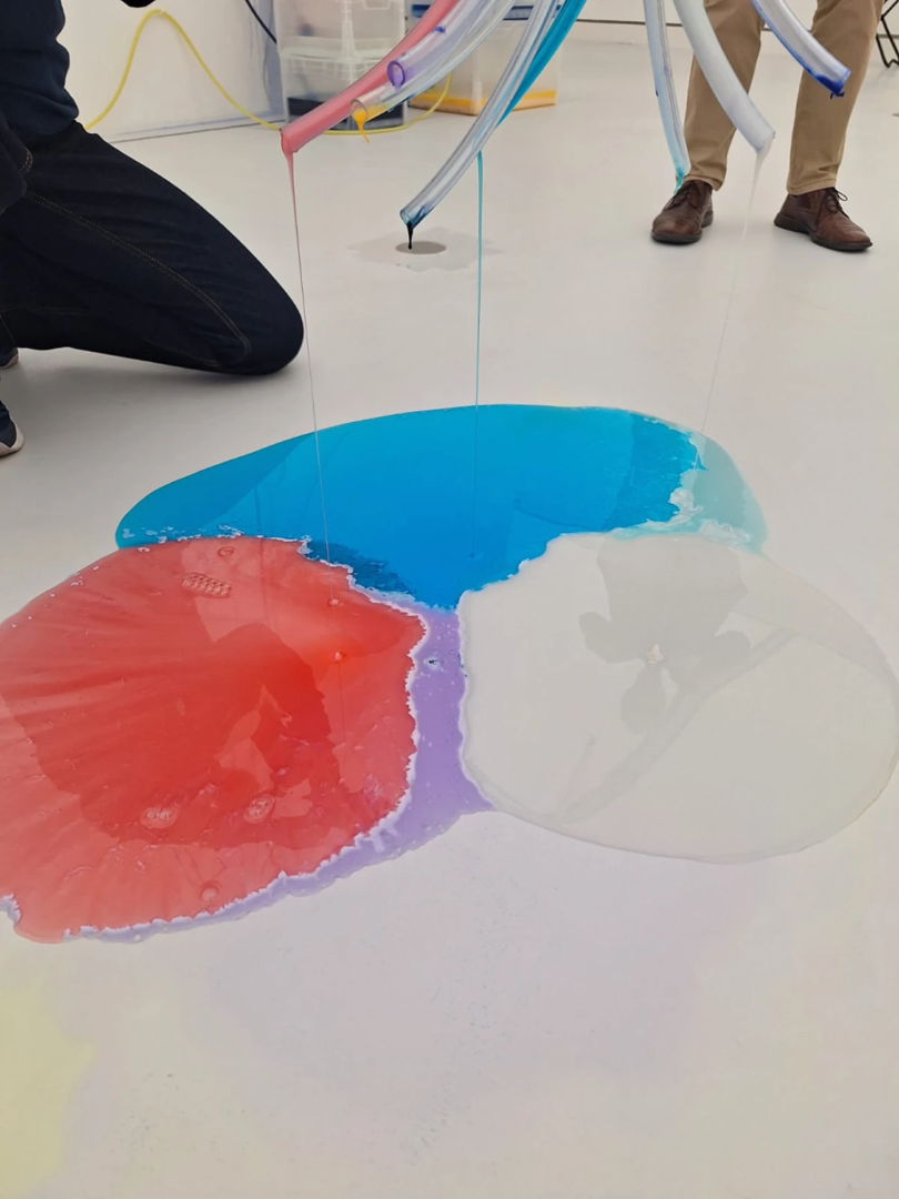 Detergancy, 2020, Sarah Ancelle Schönfeld at Kunsthalle Mainz