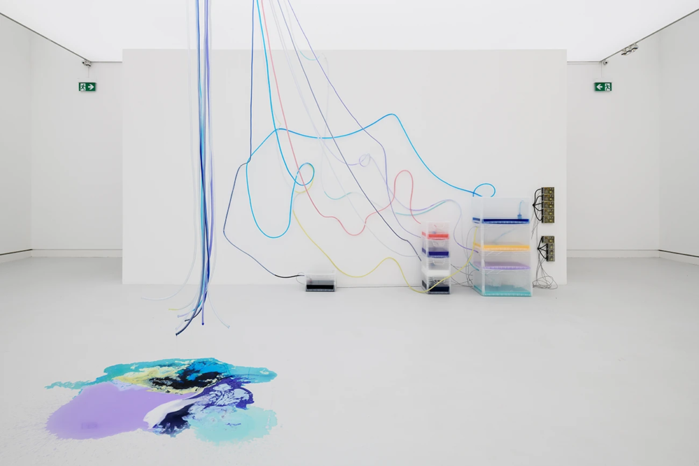 Detergancy, 2020, Sarah Ancelle Schönfeld at Kunsthalle Mainz