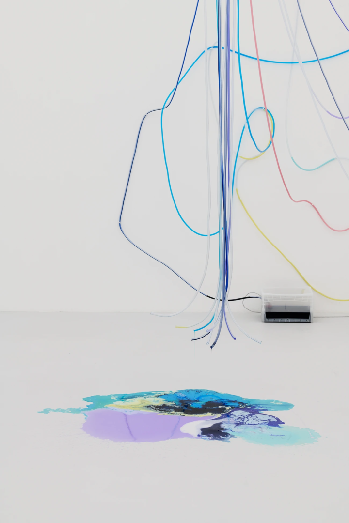 Detergancy, 2020, Sarah Ancelle Schönfeld at Kunsthalle Mainz