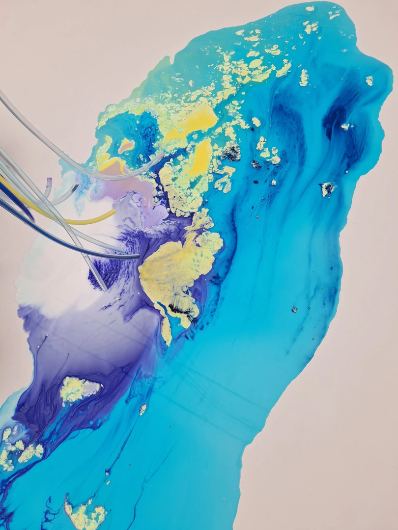 Detergancy, 2020, Sarah Ancelle Schönfeld at Kunsthalle Mainz