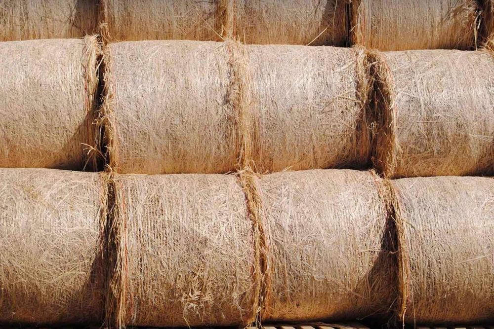 Rotoballe di fibra di canapa – immagine-South Hemp