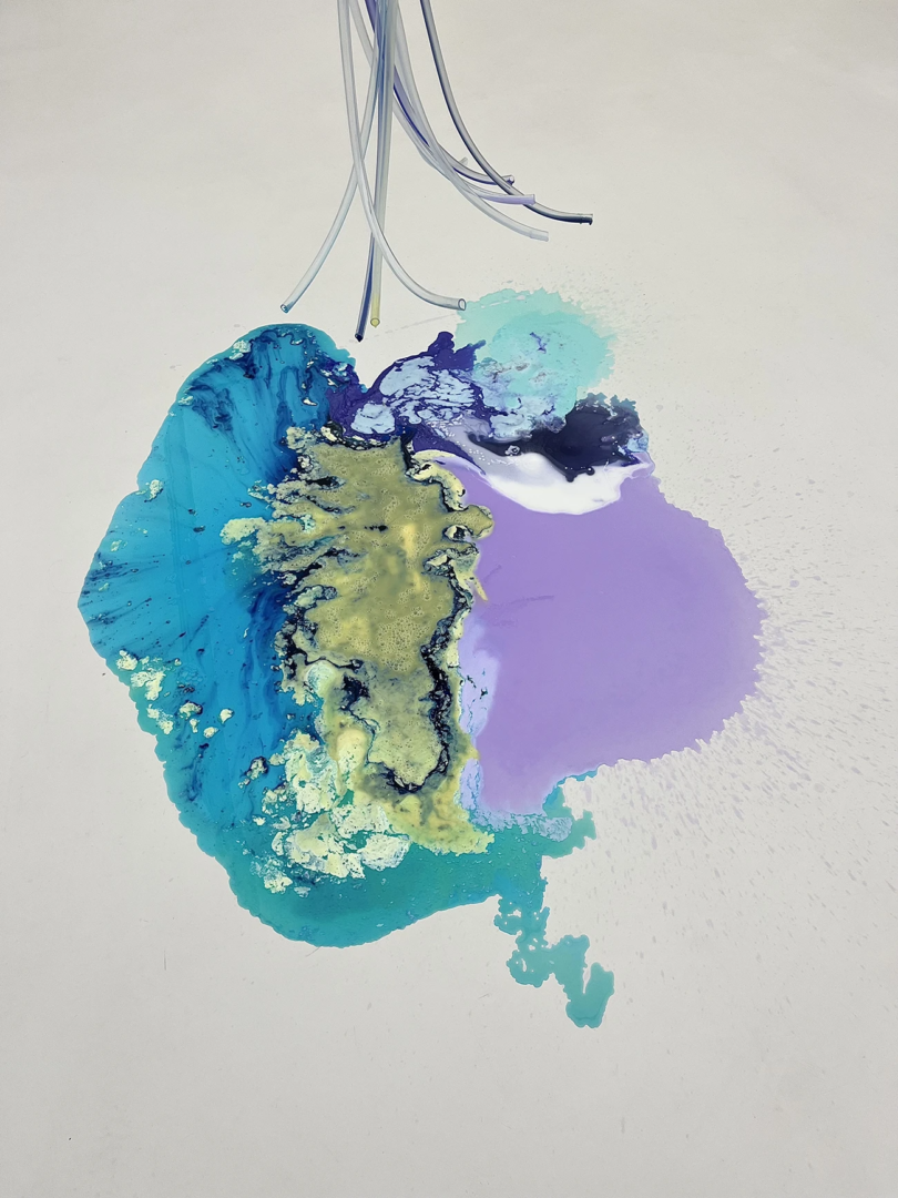 Detergancy, 2020, Sarah Ancelle Schönfeld at Kunsthalle Mainz