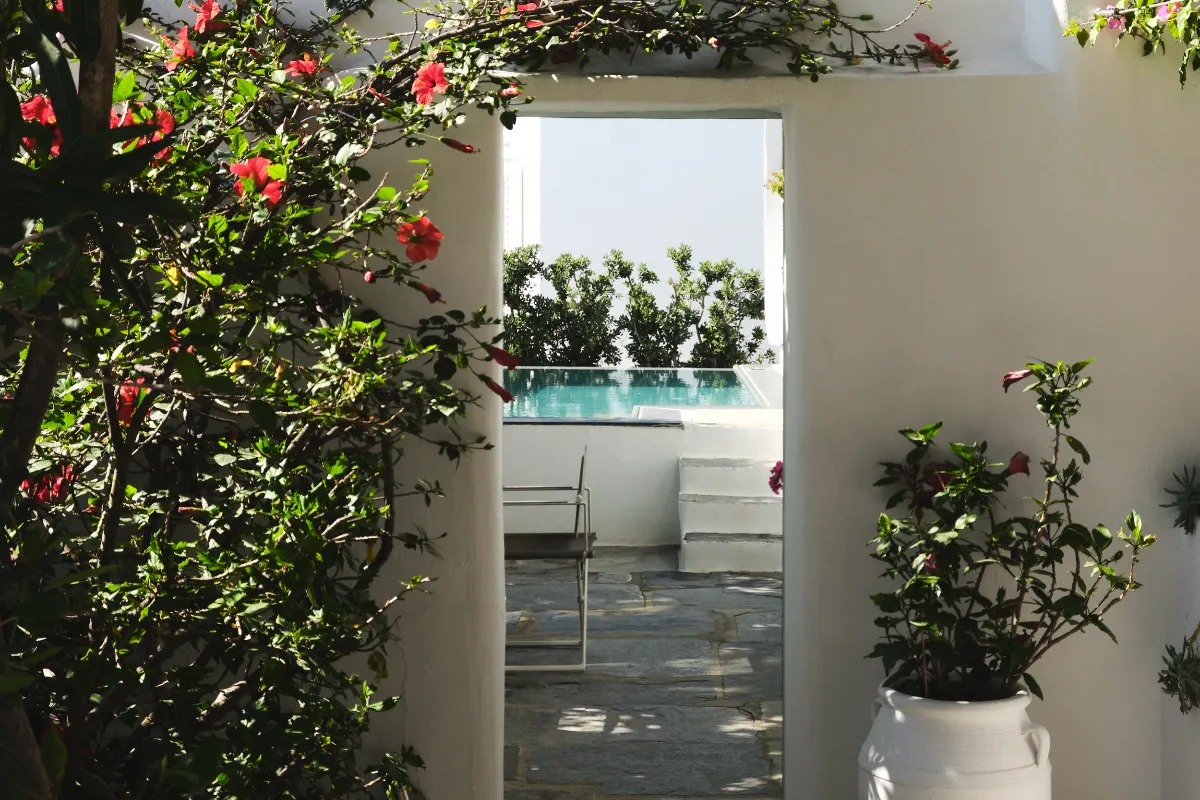 Belvedere Hotel Mykonos, 2025. Photography Yiorgos Kaplanidis. Courtesy of Belvedere Hotel Mykonos