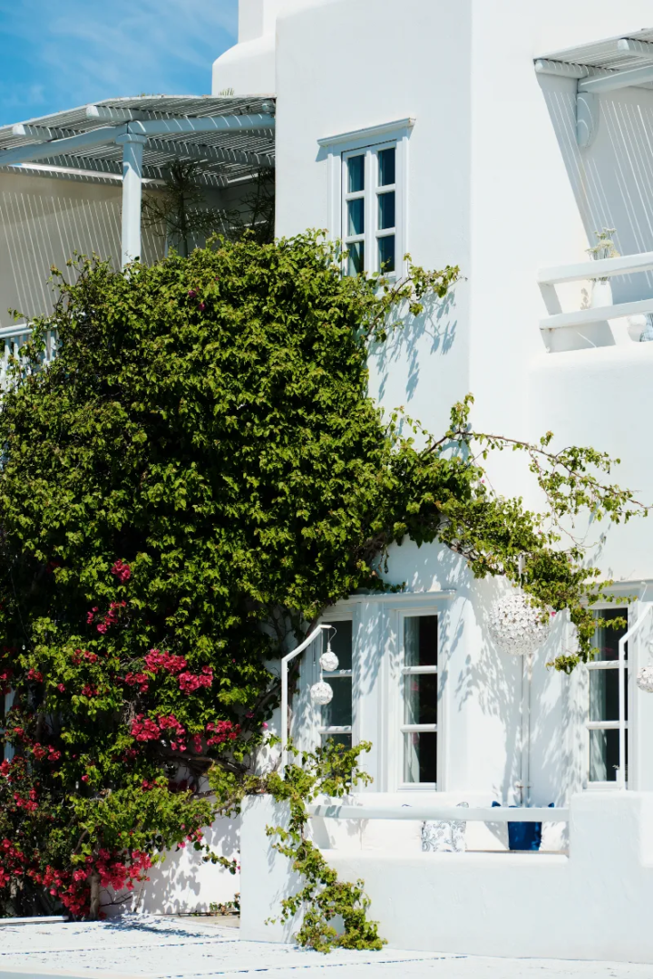 Belvedere Hotel Mykonos, 2025. Photography Yiorgos Kaplanidis. Courtesy of Belvedere Hotel Mykonos