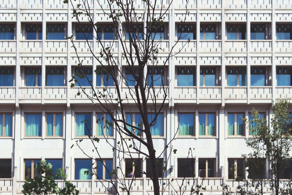 Milano Alberi
