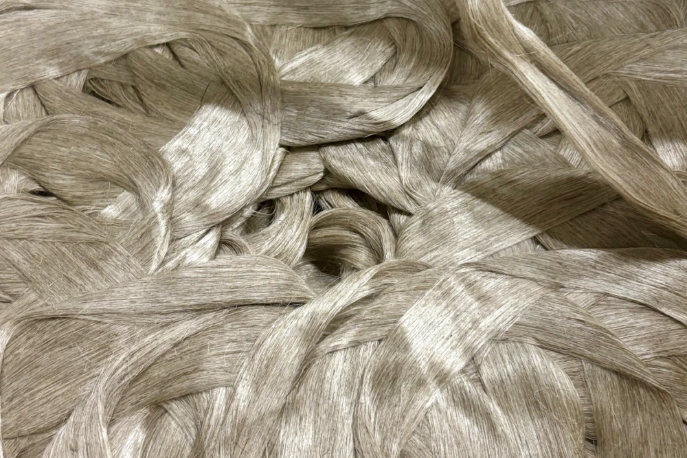 Lino