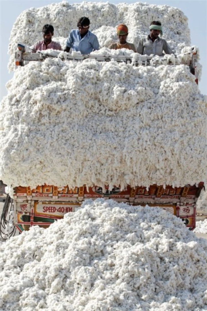 regenerative cotton farming India WWF