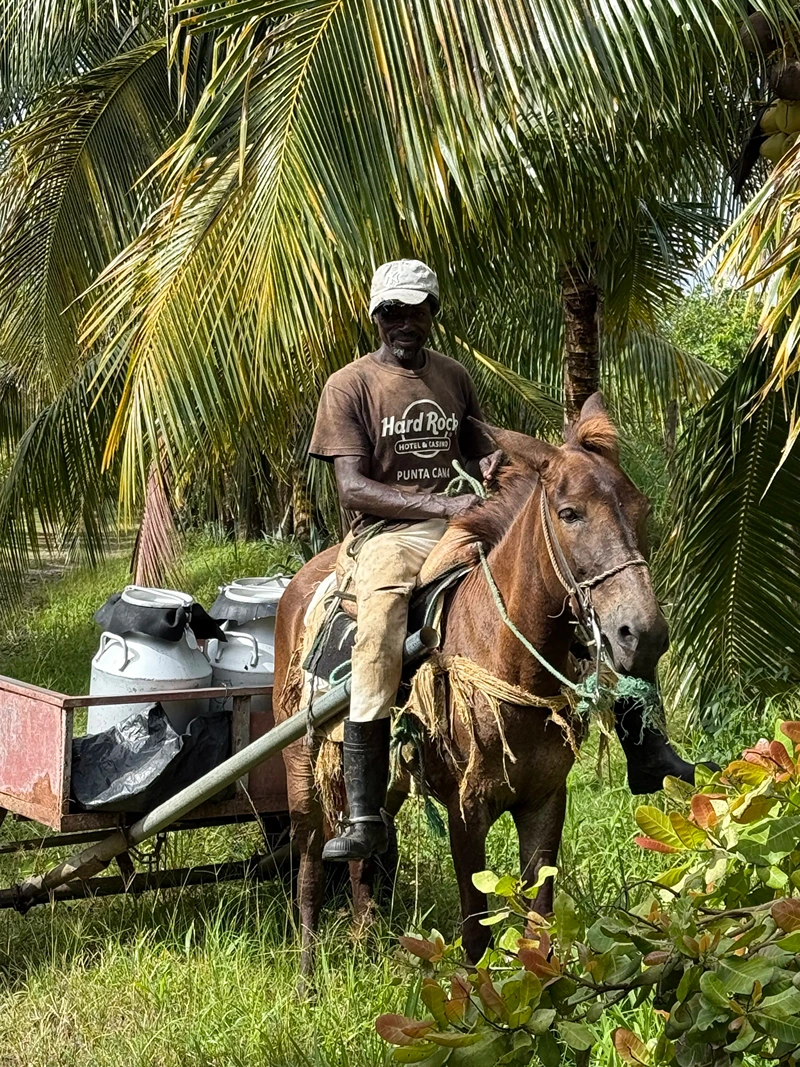 un lavoratore nei campi di cacao a Samaná
